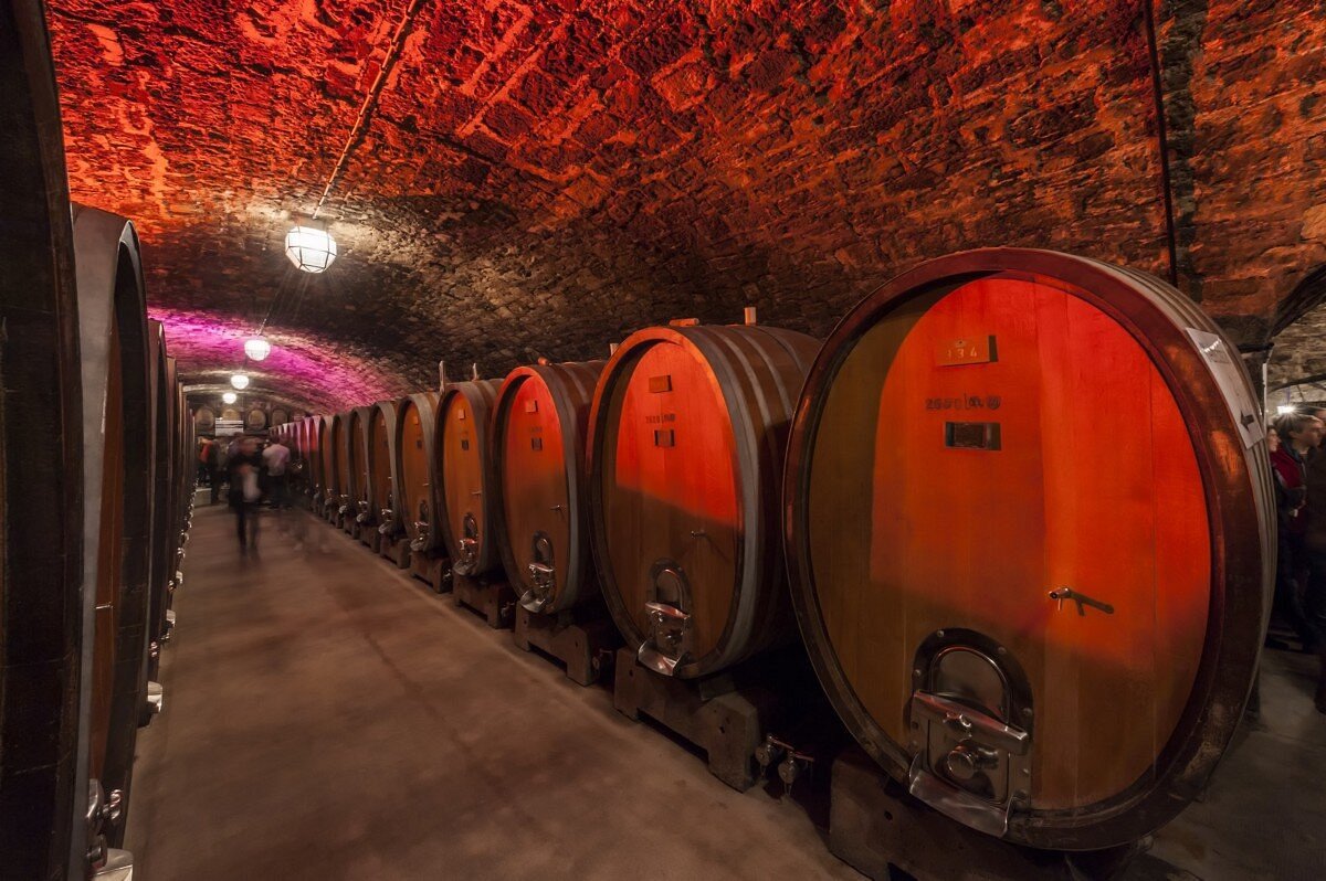 Würzburg Wine Tour in English by Tours by Locals